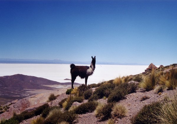 Bolivie - Uyuni 2001