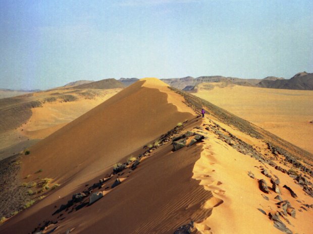 Maroc 1996